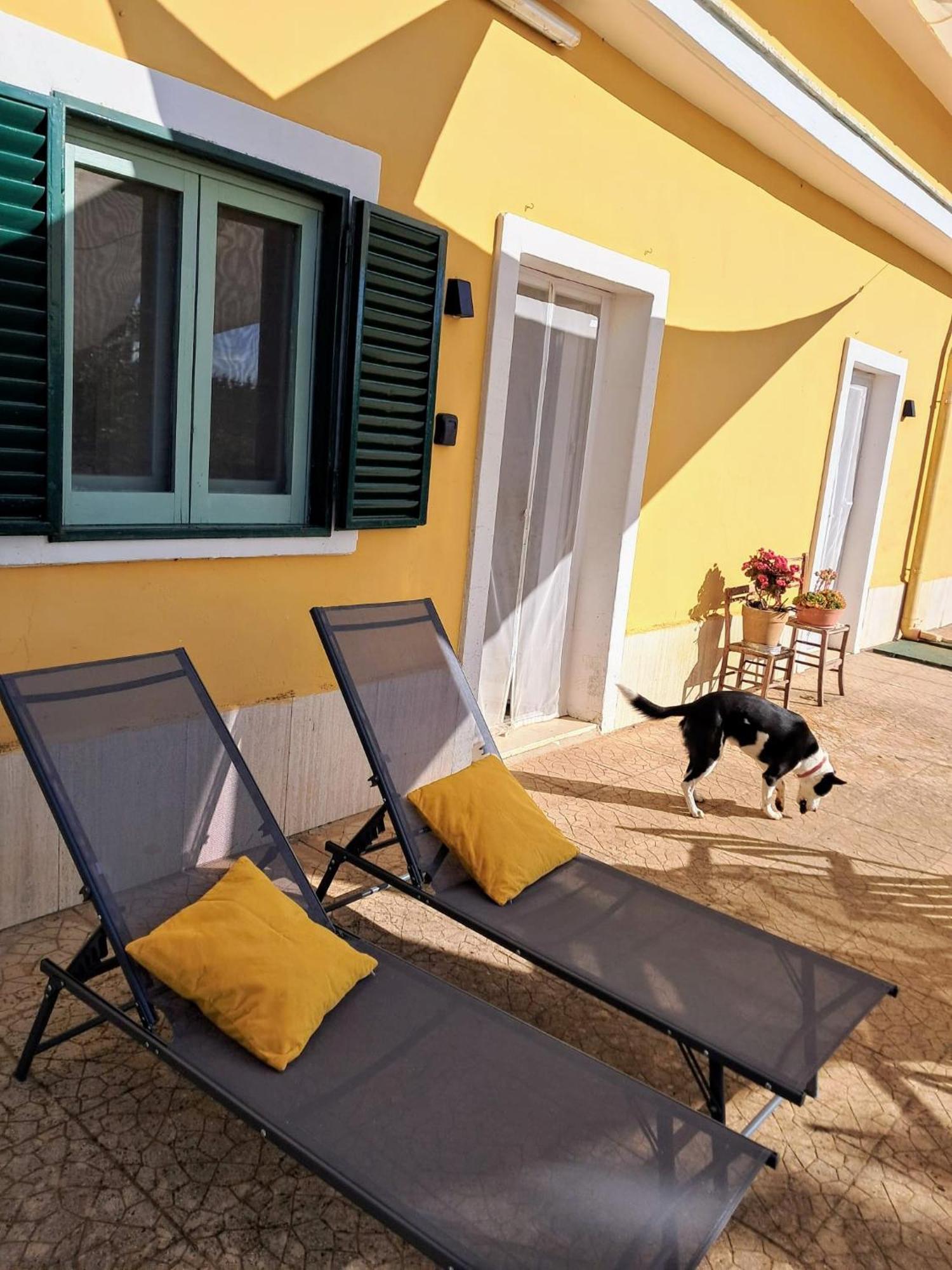 Casina Al Castello - Natura E Relax Castel Del Monte  Eksteriør billede